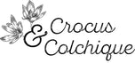 Crocus et Colchique – Accueil